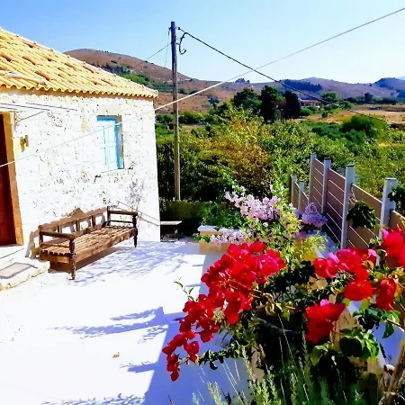 The House. Light & Stone.